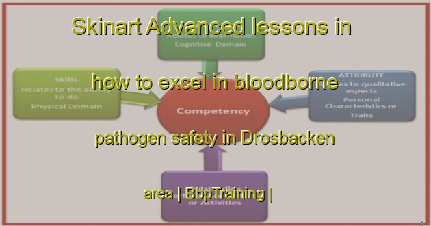 Skinart Advanced lessons in how to excel in bloodborne pathogen safety in Drosbacken area | BbpTraining | BbpClasses | SkinartTraining-Sweden